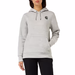 Carhartt Women's Clarksburg Graphic Sleeve Pullover Sweatshirt (Regula