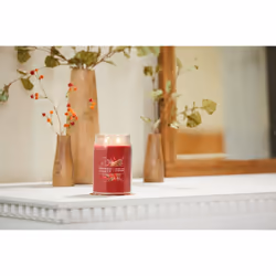 Yankee Candle Sparkling Cinnamon Scented  Signature 20oz Large Jar 2-W