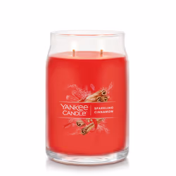 Yankee Candle Sparkling Cinnamon Scented  Signature 20oz Large Jar 2-W