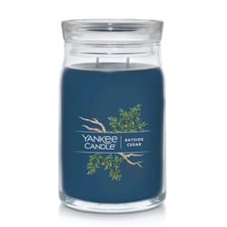 Yankee Candle Bayside Cedar Scented  Signature 20oz Large Jar 2-Wick Candle  Over 60 Hours of Burn Time