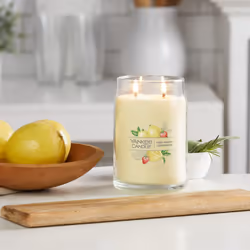 Yankee Candle Iced Berry Lemonade Scented  Signature 20oz Large Jar 2-Wick Candle  Over 60 Hours of Burn Time