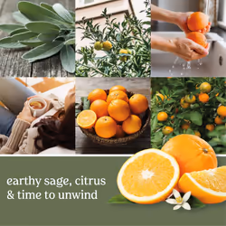 Yankee Candle Sage & Citrus Scented  Signature 20oz Large Tumbler 2-Wick Candle Long-lasting and Clean Burn  Over 60 Hours of Burn Time