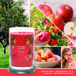 Yankee Candle Macintosh Scented  Signature 20oz Large Tumbler 2-Wick Candle  Over 60 Hours of Burn Time