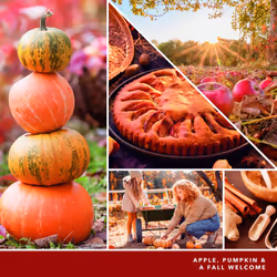 Yankee Candle Apple Pumpkin Scented  Signature 4.3oz Small Tumbler Single Wick Candle  Over 20 Hours of Burn Time