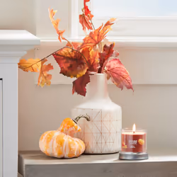 Yankee Candle Apple Pumpkin Scented  Signature 4.3oz Small Tumbler Single Wick Candle  Over 20 Hours of Burn Time