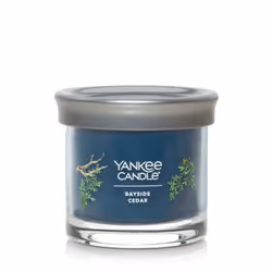 Yankee Candle Bayside Cedar Scented  Signature 4.3oz Small Tumbler Single Wick Candle  Over 20 Hours of Burn Time