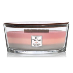 Woodwick Ellipse Scented Candle  Shoreline Trilogy  16oz | Up to 50 Hours Burn Time  Multicolor  3 Pour