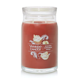 Yankee Candle Sugared Cinnamon Apple Scented  Signature 20oz Large Jar 2-Wick Candle  Over 60 Hours of Burn Time