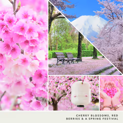 Yankee Candle Sakura Blossom Festival Scented  Signature 4.3oz Small Tumbler Single Wick Candle  Over 20 Hours of Burn Time