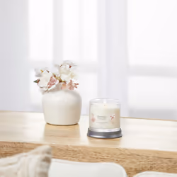 Yankee Candle Sakura Blossom Festival Scented  Signature 4.3oz Small Tumbler Single Wick Candle  Over 20 Hours of Burn Time
