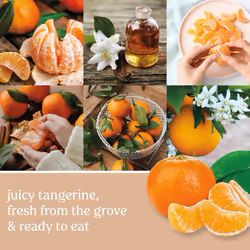 Yankee Candle Tangerine & Vanilla Scented  Signature 20oz Large Tumbler 2-Wick Candle  Over 60 Hours of Burn Time