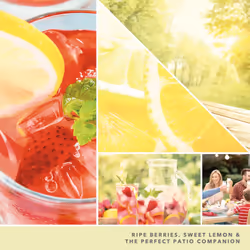 Yankee Candle Studio Medium Candle  Iced Berry Lemonade  10 oz: Long-Lasting  Essential-Oil Scented Soy Wax Blend Candle | 40-65 Hours of Burning Time