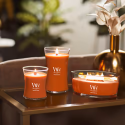 WoodWick Pumpkin Praline Scented Ellipse Candle  Crackles as it Burns  Up to 50 hrs Burn time  16oz