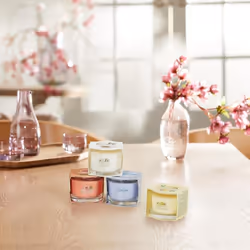 Yankee Candle Signature Votive Mini Candle Jar  Ocean Air Scent  Natural Soy Wax Blend Candle with Natural Fiber Wick  1.3 OZ Glass Jar (Pack of 12)