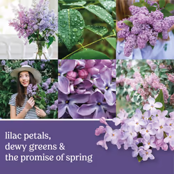 Yankee Candle Concentrated Air Freshener Room Spray  Odor Eliminator for Home  Bathroom  Lilac Blossoms  1.5 Oz (Pack of 6)