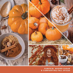 Yankee Candle Paper Car Jar  Spiced Pumpkin (Pack of 6)