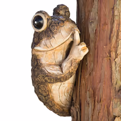 - Keep Quiet Frog Tree Peeker - Durable Polyresin Animal New