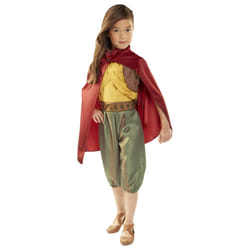 Disney's Raya and the Last Dragon Disney Raya and The Last Dragon Warrior Costume Outfit with Cape for Girls Size 4-6X [Amazon Exclusive] Brown