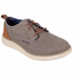 Skechers Men's Status 2.0 - Pexton Low Profile Canvas Shoe Various Colours 28492