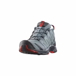 Salomon XA PRO 3D GTX, Men's Trail Running Shoes, Grey (Lead/Black/Barbados Cherry Lead/Black/Barbados Cherry), 10.5 (45 1/3  ...