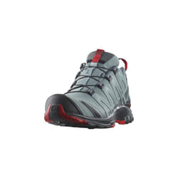 Salomon XA PRO 3D GTX, Men's Trail Running Shoes, Grey (Lead/Black/Barbados Cherry Lead/Black/Barbados Cherry), 10.5 (45 1/3 EU)