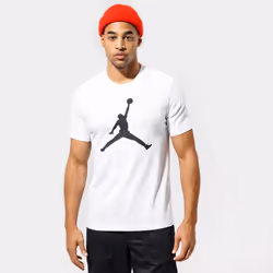 Nike Jordan Air Jumpman Mens Sports T Shirt - White, L