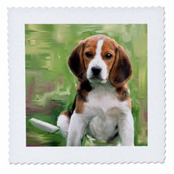 3dRose qs_4020_1 Beagle Puppy Quilt Square  10 by 10-Inch