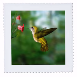 3dRose qs_4143_1 Hummingbird Quilt Square  10 by 10-Inch