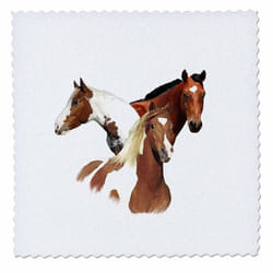 3dRose LLC Horses 10 by 10-Inch Quilt  Square