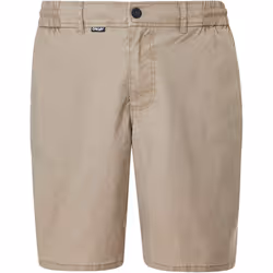Oakley mens Chino 19 Hybrid Short Swim Trunks  Rye  30 US