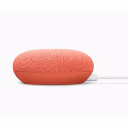 Google Nest Mini