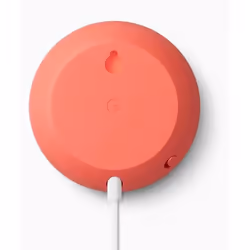 Google Nest Mini