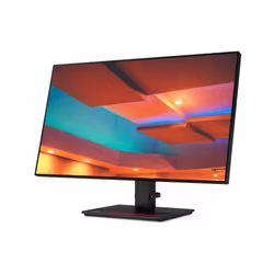 Lenovo ThinkVision P27h-20 computer monitor 68.6 cm (27") 2560 x 1440 pixels Quad HD LED Black - Additional view 8