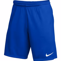 Nike Youth Park III Shorts (Royal Blue Medium)