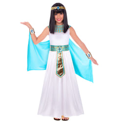 Amscan 9908747 fancy dress Adult