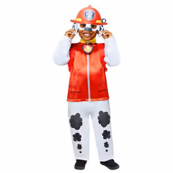 Amscan 9909127, Adult, 3 yr(s), 4 yr(s), 1 pc(s)