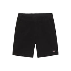 Dickies Chase City Shorts - Black
