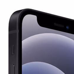 Apple iPhone 12 mini 13.7 cm (5.4") Dual SIM iOS 14 5G 64 GB Black