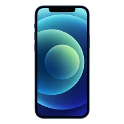 Apple iPhone 12 256GB - Blue