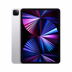 Apple iPad Pro 5th Gen 11in Wi-Fi+Cellular 512GB - Silver