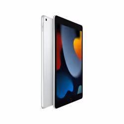 Apple iPad (9th Gen) (Wi-Fi) 64GB 2021 MK2L3ZP/A (A2602)-Silver