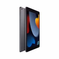 Apple iPad 256 GB 25.9 cm (10.2") Wi-Fi 5 (802.11ac) iPadOS 15 Grey