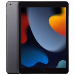 2021 Apple iPad 9th Gen 10.2" 256GB Wi-Fi - Space Grey