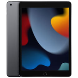 2021 Apple iPad 9th Gen 10.2" 256GB Wi-Fi - Space Grey