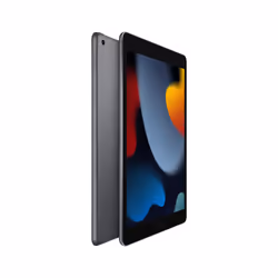 Apple iPad 10.2-inch Wi-Fi 256GB - Space Grey