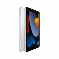 Apple iPad 9th Gen 10.2in Wi-Fi 256GB - Silver
