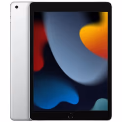 2021 Apple iPad 9th Gen 10.2" 256GB Wi-Fi - Silver