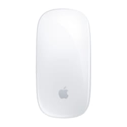 Apple MK2E3AM/A mouse Office Bluetooth