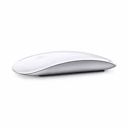 Apple MK2E3AM/A mouse Office Bluetooth
