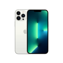 Apple iPhone 13 Pro Max 17 cm (6.7") Dual SIM iOS 15 5G 128 GB Silver